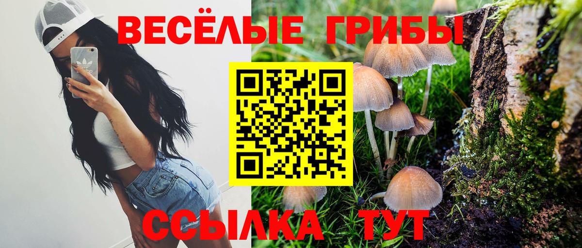 Галлюциногенные грибы Cubensis Усинск