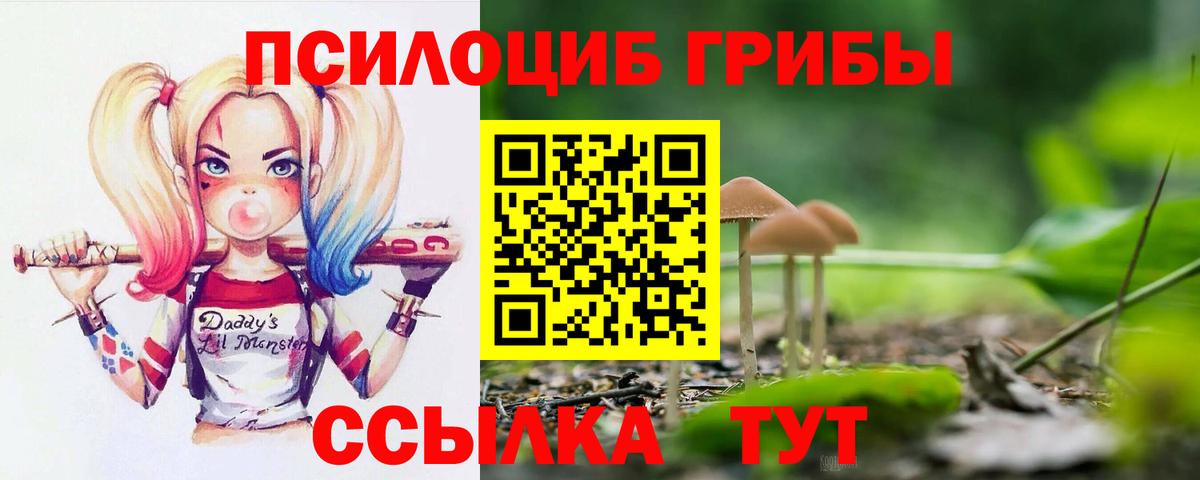 Псилоцибиновые грибы Cubensis  Вход с VPN  Усинск 